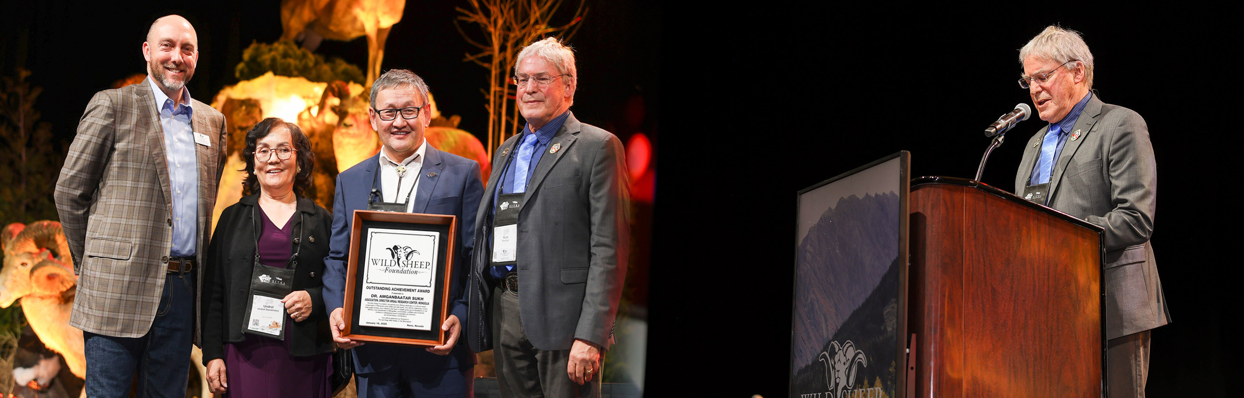 Outstanding Achievement - International 2025
